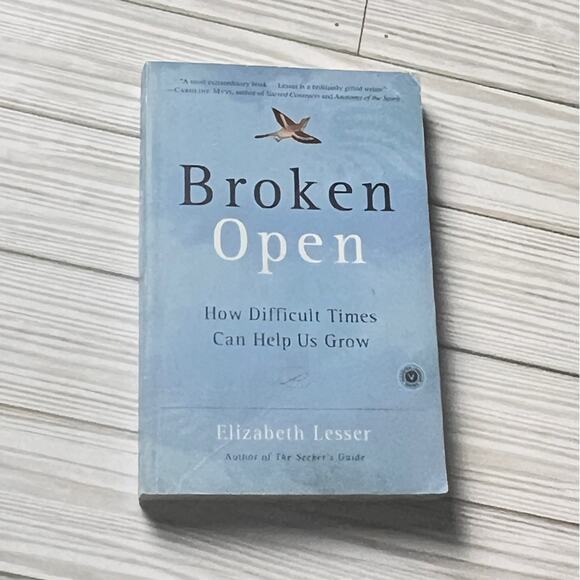 BROKEN OPEN Self Development Book Written by Elizabeth Lesser - Picture 4 of 6